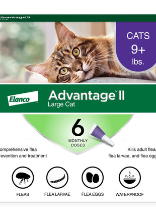 Advantage II Large Cat Vet-Recommended Flea Treatment & Prevention | Cats Over 9 lbs. | 6-Month Supply