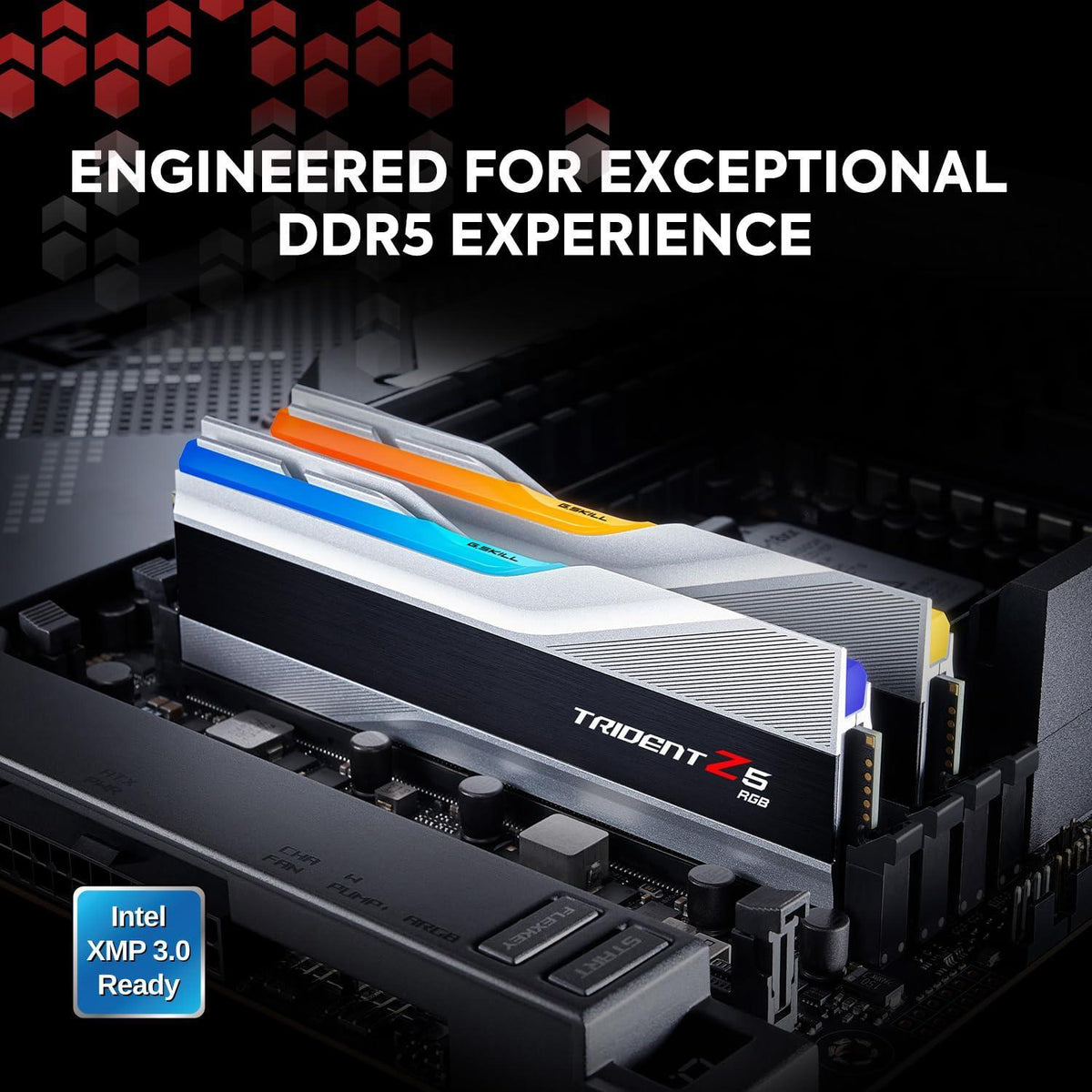 G.SKILL Trident Z5 RGB Series (Intel XMP 3.0) DDR5 RAM 48GB (2x24GB) 7200MT/s CL36-46-46-115 1.35V Desktop Computer Memory UDIMM - Metallic Silver (F5-7200J3646F24GX2-TZ5RS)
