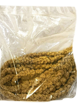 Nemeth Farms Spray Millet - Edible Tops Only, Non-GMO and Sun-Dried - 1 lb for Parakeets, Canaries and Finches