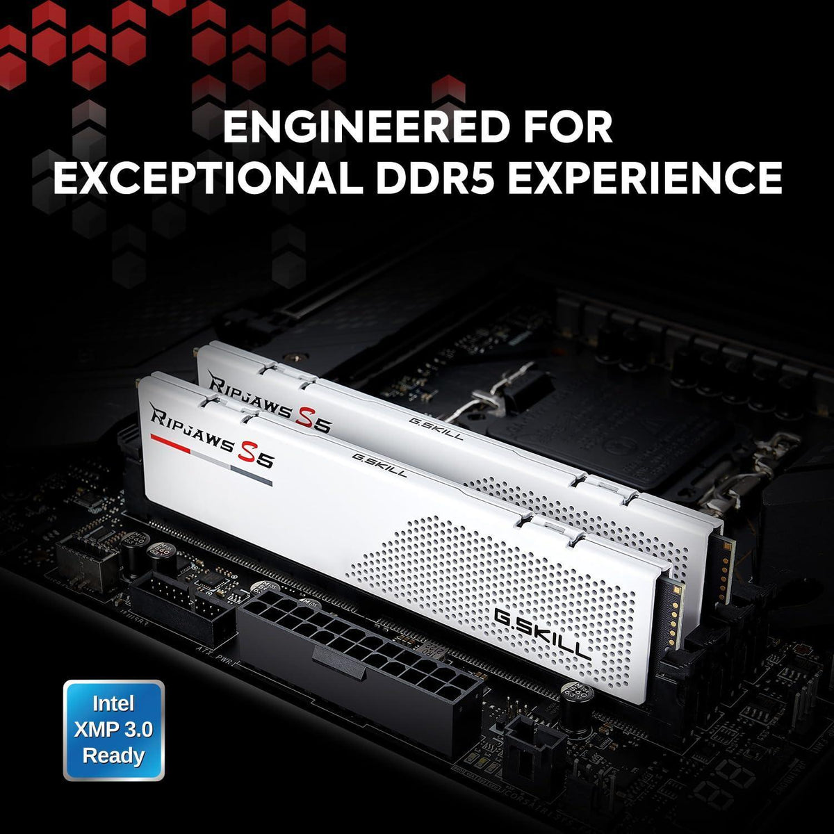 G.SKILL Ripjaws S5 Series (Intel XMP 3.0) DDR5 RAM 32GB (2x16GB) 5200MT/s CL40-40-40-83 1.10V Desktop Computer Memory UDIMM - Matte White (F5-5200J4040A16GX2-RS5W)
