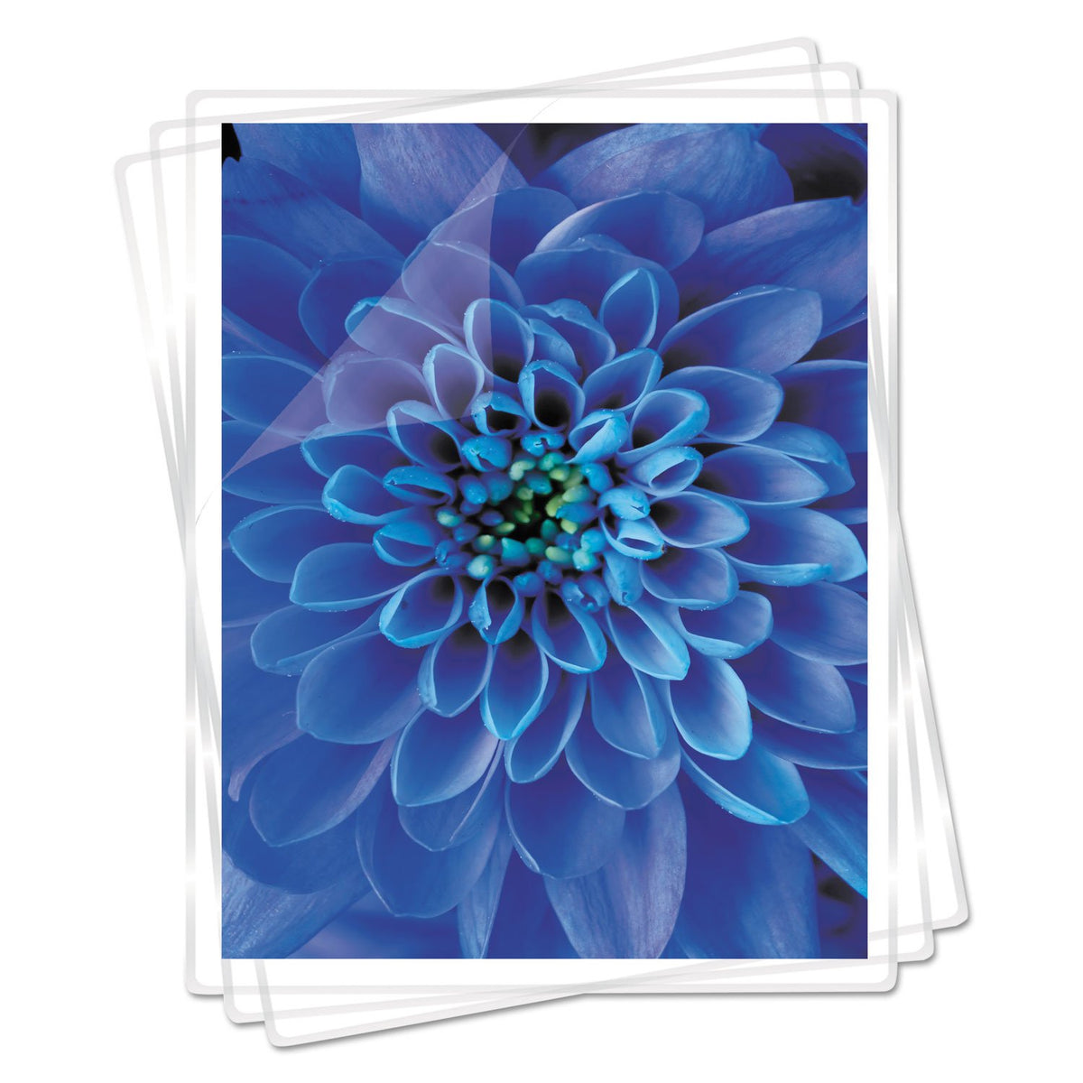 Fellowes Glossy Pouches - Letter, 7 mil, 100 pack