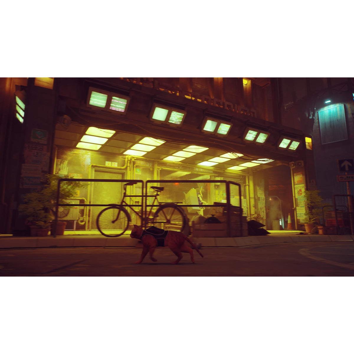 Stray - Nintendo Switch