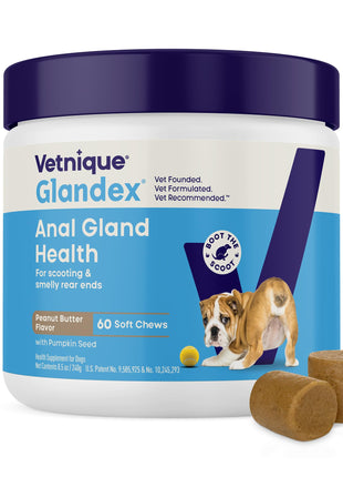 Vetnique Glandex Anal Gland Soft Chew Treats with Pumpkin for Dogs Digestive Enzymes, Probiotics Fiber Supplement for Dogs Boot The Scoot (Peanut Butter Chews, 60 Count)