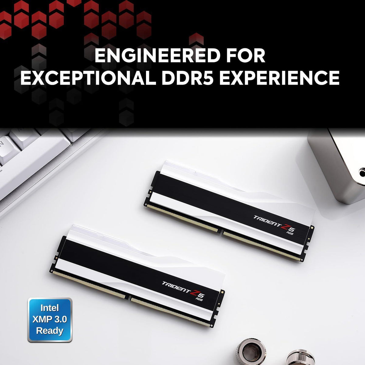 G.SKILL Trident Z5 RGB Series (Intel XMP 3.0) DDR5 RAM 96GB (2X 48GB) 6000MT/s CL30-36-36-96 1.35V Desktop Computer Memory U-DIMM - Matte White (F5-6000J3036F48GX2-TZ5RW)