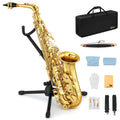Eastar Student Alto Saxophone E Flat for Beginner Sax Full Kit with Carrying Case, Mouthpiece, Straps, Reeds, Stand, Golden Lacquer, AS  聟隆