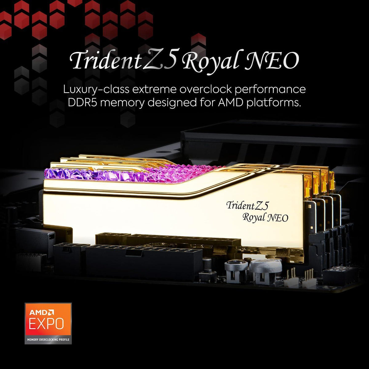 G.SKILL Trident Z5 Royal Neo Series (AMD Expo) DDR5 RAM 48GB (2X 24GB) 6000MT/s CL26-36-36-96 1.45V Desktop Computer Memory U-DIMM - Gold (F5-6000J2636H24GX2-TR5NG)