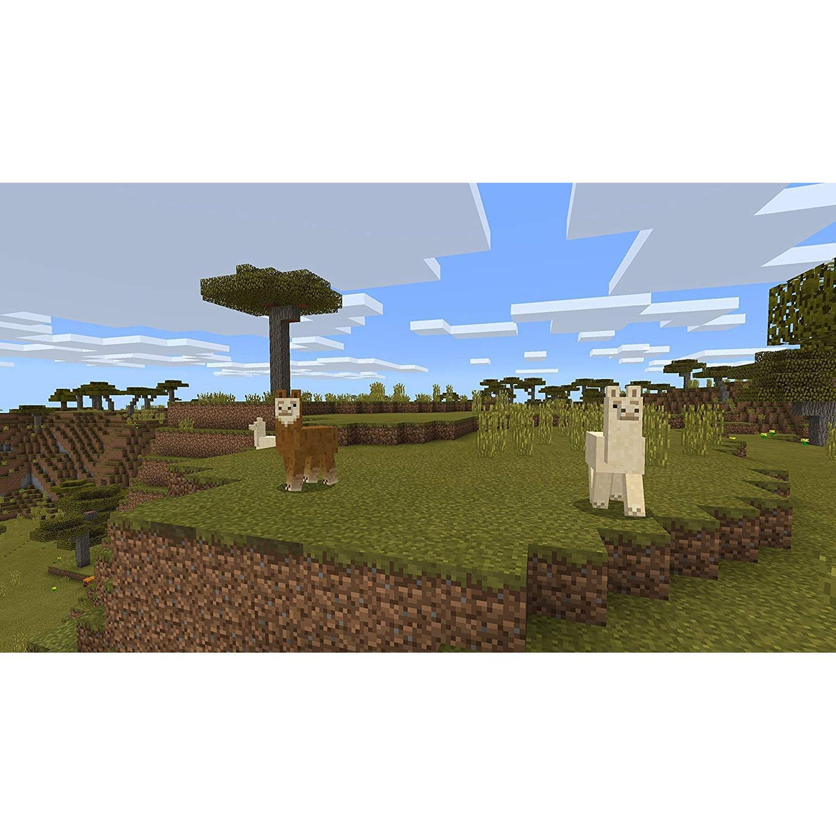 Minecraft: Switch Edition - Nintendo Switch