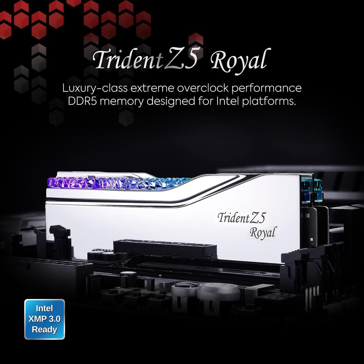 G.SKILL Trident Z5 Royal Series (Intel XMP 3.0) DDR5 RAM 48GB (2x24GB) 8000MT/s CL40-48-48-128 1.30V Desktop Computer Memory U-DIMM - Silver (F5-8000J4048E24GX2-TR5S)