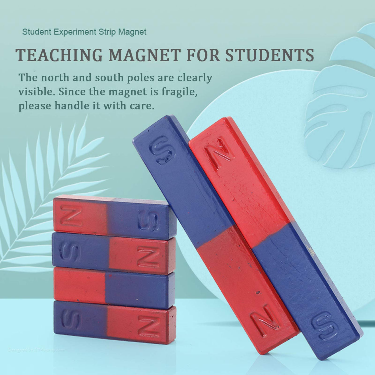 Science Magnet for Kids Bar Magnet Small with North South Identified for Students Teachers Science Experiment Physics Education Toys 2Pcs
