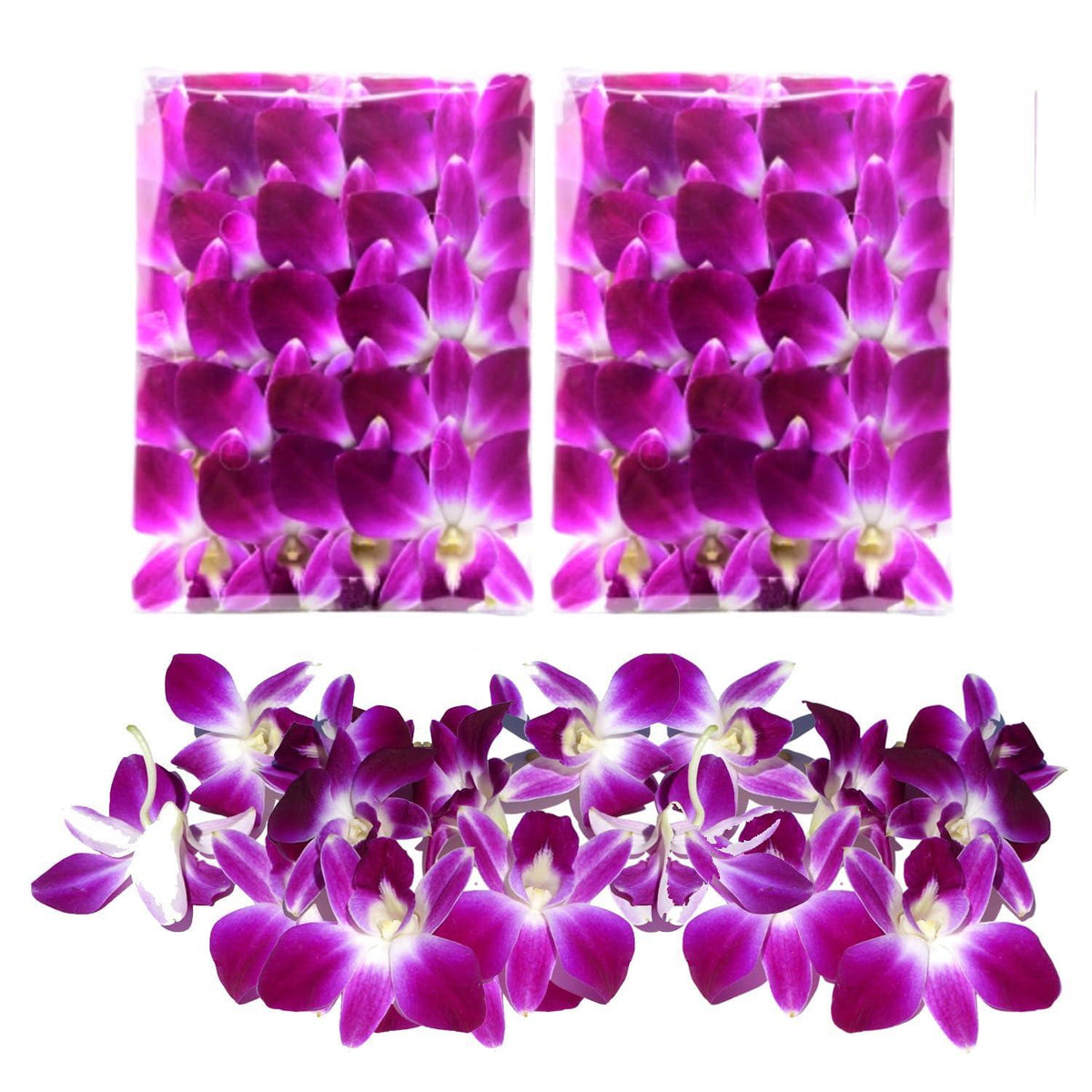 Miami Fresh Orchid Flower OrchidClub USA Sunne Tropical Loose Bloom DIY Lei, food & drink decoration (50 PURPLE)