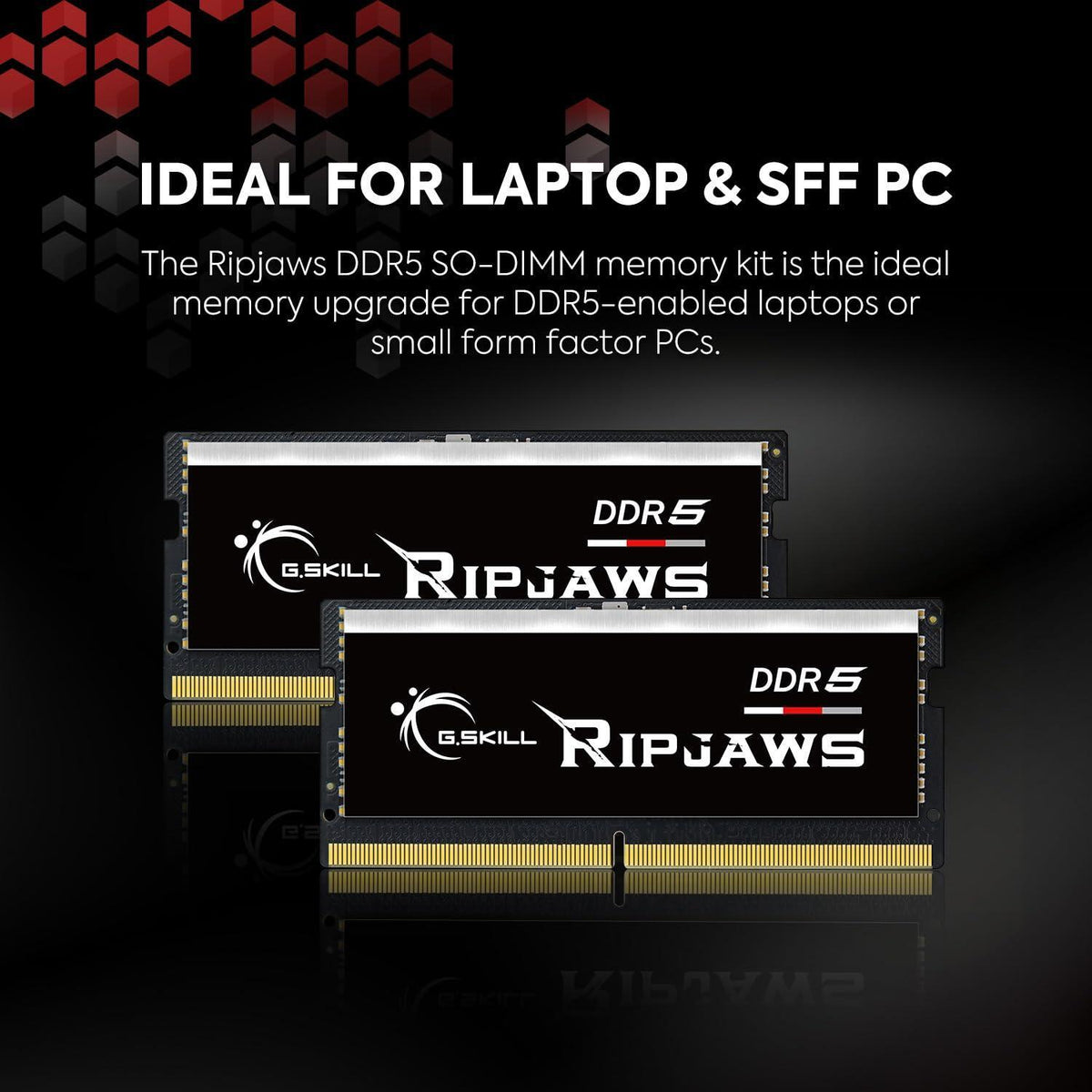 G.SKILL Ripjaws DDR5 SO-DIMM Series DDR5 RAM 64GB (2x32GB) 4800MT/s CL40-39-39-76 1.10V Unbuffered Non-ECC Notebook/Laptop Memory SODIMM (F5-4800S4039A32GX2-RS)