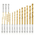 amoolo Hex Shank Drill Bit Set (13Pcs Set+3 Pcs Free), Premium 4341 HSS Titanium Impact Hex Drill Bits for Wood, Steel, Metal, Plastic, Quick Change Design (1/16 -1/4 )