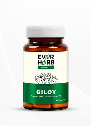 EVERHERB Giloy (guduchi) 500mg - Ayush Recommended Immunity Booster - 60 Capsules
