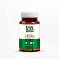 EVERHERB Giloy (guduchi) 500mg - Ayush Recommended Immunity Booster - 60 Capsules