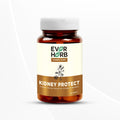 Everherb Kidney Protect - Blend of 8 Natural Powerful Herbs, for Healthy Urine Flow - 60 Tablets