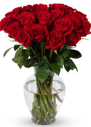 Benchmark Bouquets - Red Roses Bouquet - Fresh Flowers for Delivery - Real Roses - Two Dozen Long Stem Roses for Anniversary - Romantic Gift Set - Gifts for Women (Glass Vase Included)
