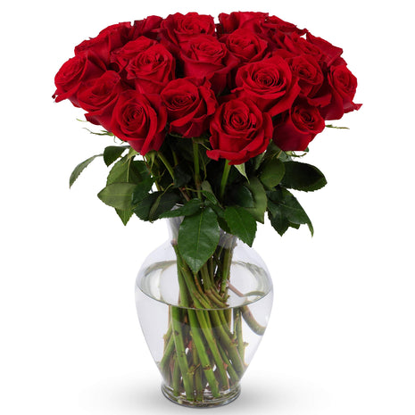 Benchmark Bouquets - Red Roses Bouquet - Fresh Flowers for Delivery - Real Roses - Two Dozen Long Stem Roses for Anniversary - Romantic Gift Set - Gifts for Women (Glass Vase Included)