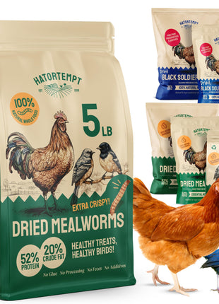 Hatortempt Dried Mealworms - Non-GMO & Organic - High-Protein Mealworms for Wild Bird Food, Ducks & Chickens (5lb)
