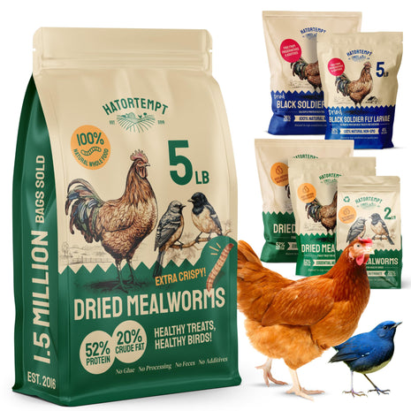 Hatortempt Dried Mealworms - Non-GMO & Organic - High-Protein Mealworms for Wild Bird Food, Ducks & Chickens (5lb)