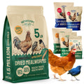 Hatortempt Chicken Feed Dried Mealworms - 5 Lb, Non-GMO & Organic - High-Protein Mealworms for Wild Birds & Ducks, Chicken Treats & Bird Food