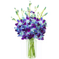 KaBloom Flowers - Mother's Day Collection - Exotic Sapphire Orchid Bouquet of Blue Orchids from Thailand with Vase - Gift for Birthday,Thank You, Valentine, Mother’s Day Fresh Flowers