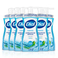Dial Antibacterial Foaming Hand Wash, Spring Water, 7.5 fl oz (Pack of 6)