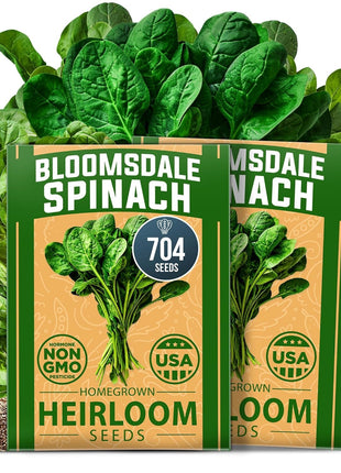 HOME GROWN Bloomsdale Spinach Seeds - 2 Bulk Packs (Spinacia oleracea) – 704 High Germination 𝗡𝗢𝗡-𝗚𝗠𝗢 𝗨𝗦𝗔 Heirloom Spinach Seeds for Planting – Leafy Green Lettuce – for Home Gardens
