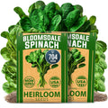 HOME GROWN Bloomsdale Spinach Seeds - 2 Bulk Packs (Spinacia oleracea) – 704 High Germination 𝗡𝗢𝗡-𝗚𝗠𝗢 𝗨𝗦𝗔 Heirloom Spinach Seeds for Planting – Leafy Green Lettuce – for Home Gardens