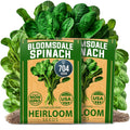 HOME GROWN Bloomsdale Spinach Seeds - 2 Bulk Packs (Spinacia oleracea) ??704 High Germination ??????-?????? ?????? Heirloom Spinach Seeds for Planting ??Leafy Green Lettuce ??for Home Gardens