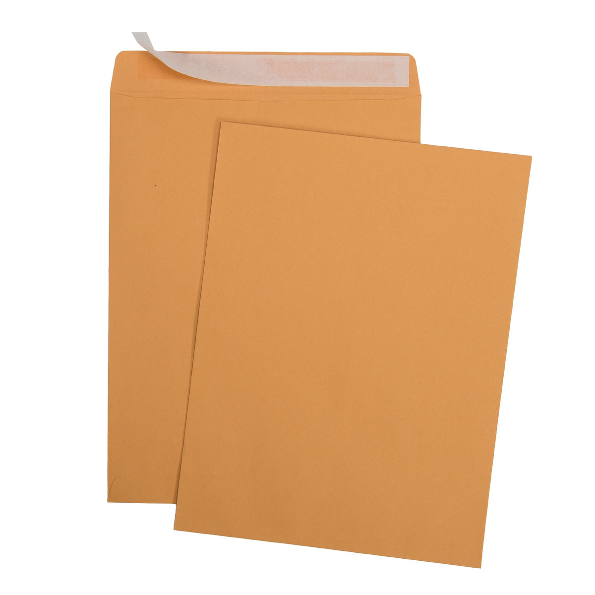 Aimoh 9 X 12 Self-Seal Brown Kraft Catalog Mailing Envelopes - 28lb - 100 Count, 9x12 Inch (38300)