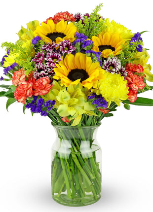 Benchmark Bouquets - Flowering Fields Sunflower Bouquet - Fresh Flowers for Delivery - Real Flowers in a Vase - Birthday Flowers for Women - Congratulations Gift (Glass Vase Included)