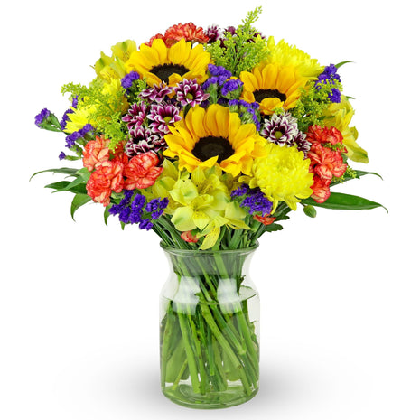 Benchmark Bouquets - Flowering Fields Sunflower Bouquet - Fresh Flowers for Delivery - Real Flowers in a Vase - Birthday Flowers for Women - Congratulations Gift (Glass Vase Included)