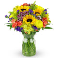 Benchmark Bouquets - Flowering Fields (Glass Vase Included) - Fresh Flowers for Delivery - Gift for Graduation, Birthday, Anniversary, Sympathy, Get Well, Congratulations