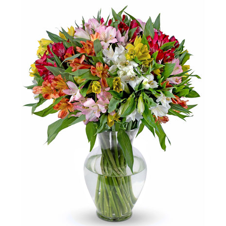 Benchmark Bouquets - 25 Stem Peruvian Lilies (Glass Vase Included) - Fresh Flowers for Delivery - Gift for Birthday, Anniversary, Sympathy, Get Well, Congratulations, Thanksgiving, Christmas