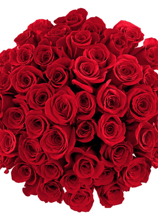Benchmark Bouquets - 50 Stem Premium Red Roses (2 Bundles of 25; Vase Not Included) - Fresh Flowers for Delivery - Gift for Graduation, Birthday, Anniversary, Sympathy, Get Well, Congratulations