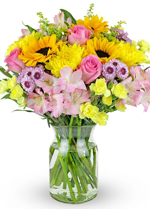 Benchmark Bouquets - Rays of Sunshine (Glass Vase Included) - Fresh Flowers for Next Day Delivery - Gift for Birthday, Anniversary, Get Well, Sympathy, Congratulations
