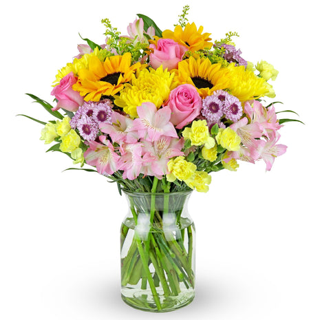 Benchmark Bouquets - Rays of Sunshine (Glass Vase Included) - Fresh Flowers for Next Day Delivery - Gift for Birthday, Anniversary, Get Well, Sympathy, Congratulations