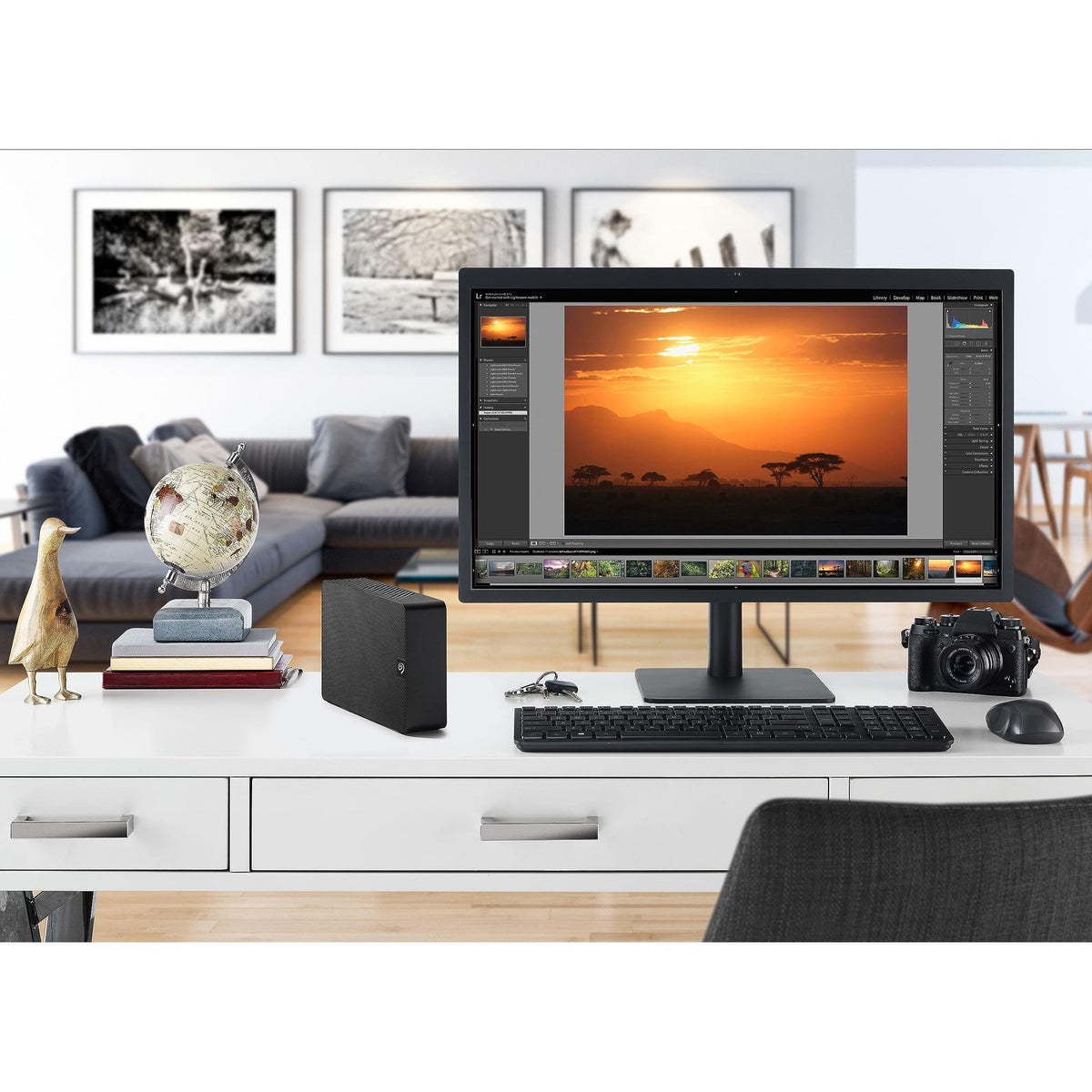 Seagate Expansion 24 TB External Hard Drive HDD - USB 3.0, with Rescue Data Recovery Services (STKP24000400)
