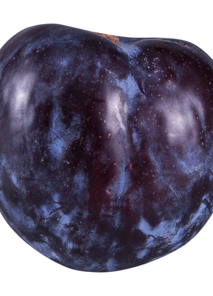 Black Plum