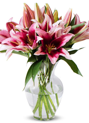 Benchmark Bouquets - 8 Stem Pink Oriental Lilies (Glass Vase Included) - Fresh Flowers for Next Day Delivery - Gift for Christmas, Birthday, Anniversary, Sympathy, Get Well, Congratulations
