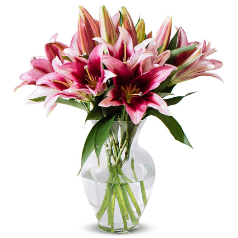 Benchmark Bouquets - 8 Stem Pink Oriental Lilies (Glass Vase Included) - Fresh Flowers for Next Day Delivery - Gift for Christmas, Birthday, Anniversary, Sympathy, Get Well, Congratulations