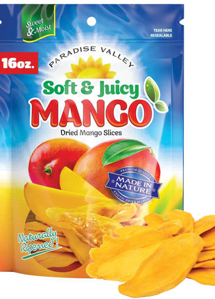 Dried Mango Slices - Delicious Texture Soft & Juicy Low Sugar Added Dried Mango - Naturally Ripened Mangos Dried Fruits - Gluten Free Dry Mangoes Natural Source of Vitamin C, Fiber, 16 oz (16 Single Pack)