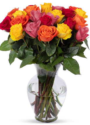Benchmark Bouquets - Roses Bouquet Assorted Colors - Fresh Flowers for Delivery - Two Dozen Long Stem Roses - Live Flowers - Gift Roses in a Box - Birthday Flowers for Women (Glass Vase Included)