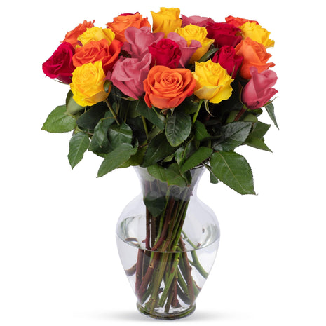 Benchmark Bouquets - Roses Bouquet Assorted Colors - Fresh Flowers for Delivery - Two Dozen Long Stem Roses - Live Flowers - Gift Roses in a Box - Birthday Flowers for Women (Glass Vase Included)