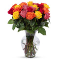 Benchmark Bouquets - 24 Stem Premium Rainbow Roses (Glass Vase Included) - Fresh Flowers for Delivery - Gift for Graduation, Birthday, Anniversary, Sympathy, Get Well, Congratulations