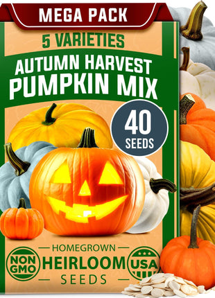 HOME GROWN 𝗨𝗦𝗔 𝗣𝗥𝗘𝗠𝗜𝗨𝗠 5 Pumpkin Seeds Mix - 40 Seeds 𝗡𝗢𝗡-𝗚𝗠𝗢 Heirloom Pumpkin for Planting Ideal Garden for Unique Varieties Yellow Paris and Casper, Culinary and Decorative Use