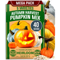 HOME GROWN 𝗨𝗦𝗔 𝗣𝗥𝗘𝗠𝗜𝗨𝗠 5 Pumpkin Seeds Mix - 40 Seeds 𝗡𝗢𝗡-𝗚𝗠𝗢 Heirloom Pumpkin for Planting Ideal Garden for Unique Varieties Yellow Paris and Casper, Culinary and Decorative Use