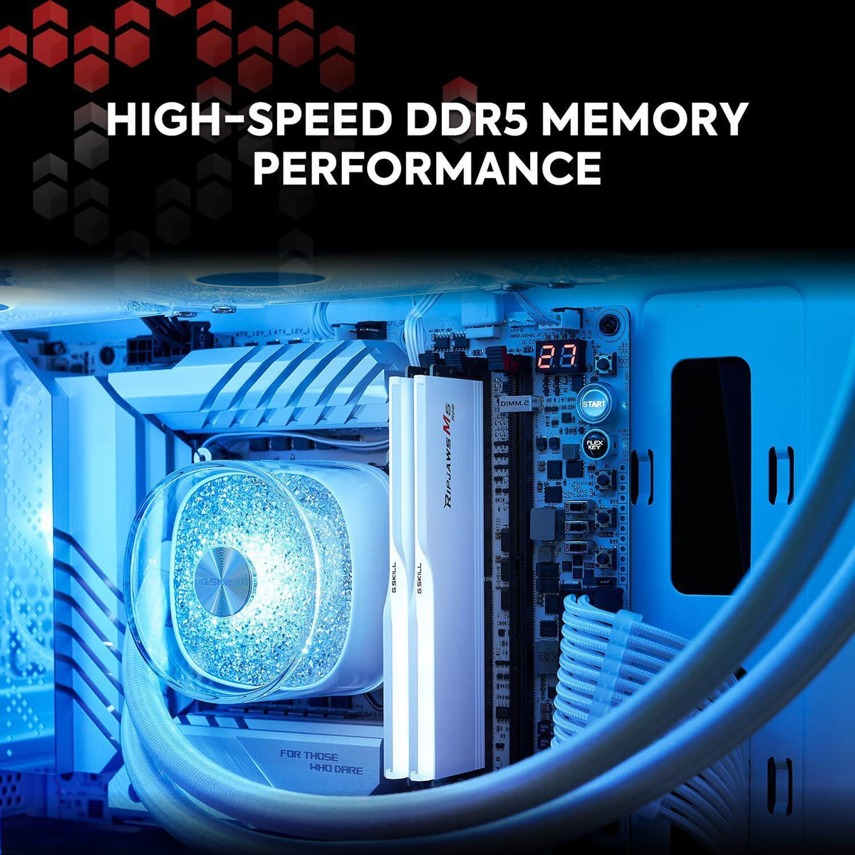 G.SKILL Ripjaws M5 RGB Series (Intel XMP 3.0) DDR5 RAM 48GB (2x24GB) 5200MT/s CL40-40-40-83 1.10V Desktop Computer Memory UDIMM - Matte Black (F5-5200J4040A24GX2-RM5RK)