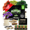 Bonsai Tree Kit - Gifts for Men & Women - Grow 4 Bonsai Trees - Unique Gardening Crafts for Adults, DIY Hobbies for Plant Lovers & Gardeners - Unusual Christmas Gift Ideas for Mom & Dad