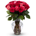 Benchmark Bouquets - 24 Stem Premium Blushing Beauty Roses (Glass Vase Included) - Flowers for Delivery - Gift for Graduation, Birthday, Anniversary, Sympathy, Get Well, Congratulations